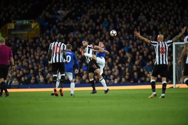 造成了极大 造成了极大